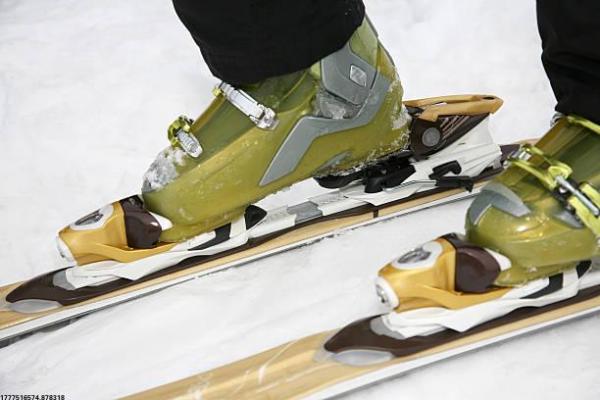 体育项目的体质要求及排名分析(图1)